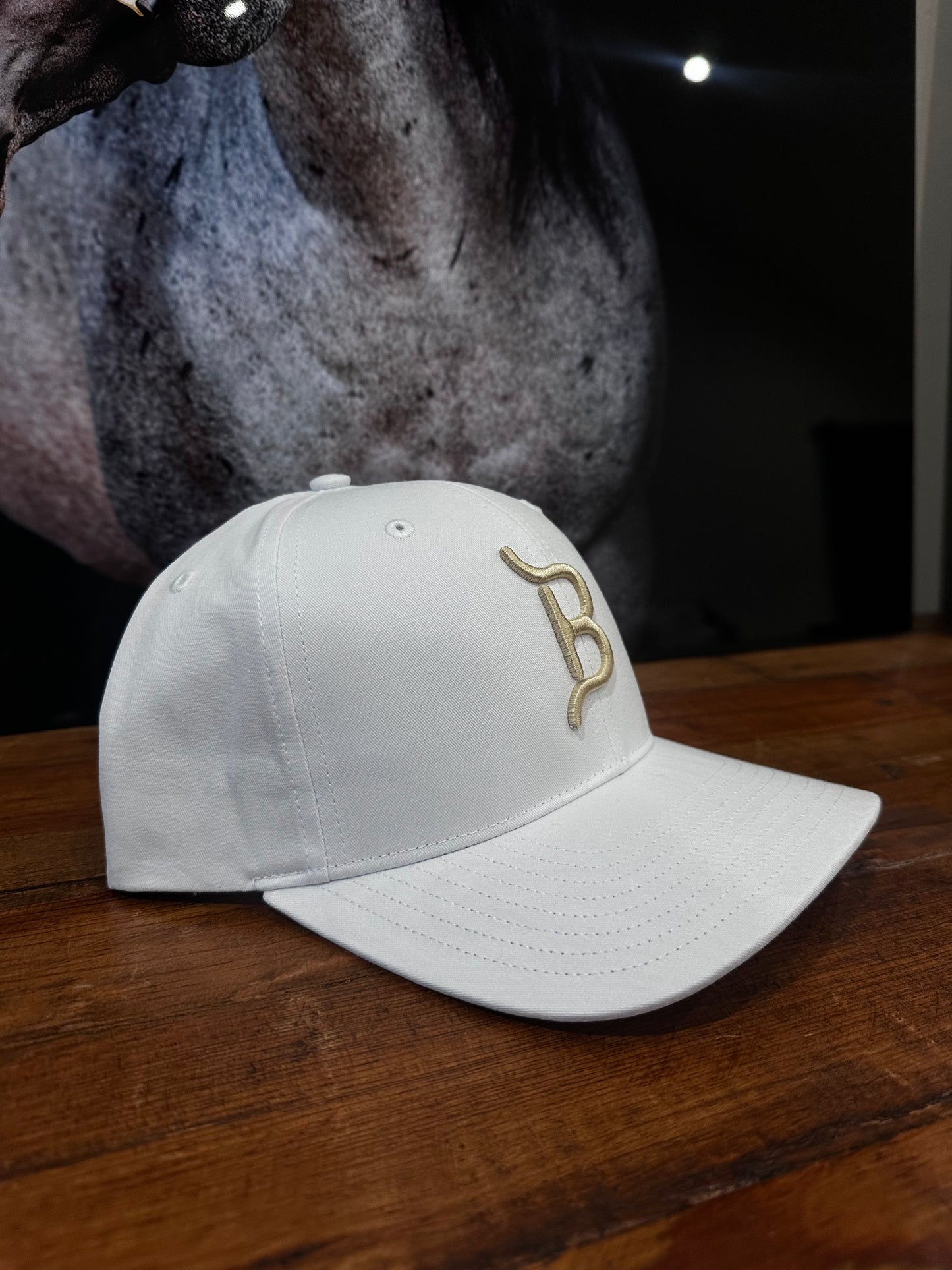 FLYING B BRAND HAT-SOLID BACK