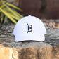 FLYING B BRAND HAT-SOLID BACK
