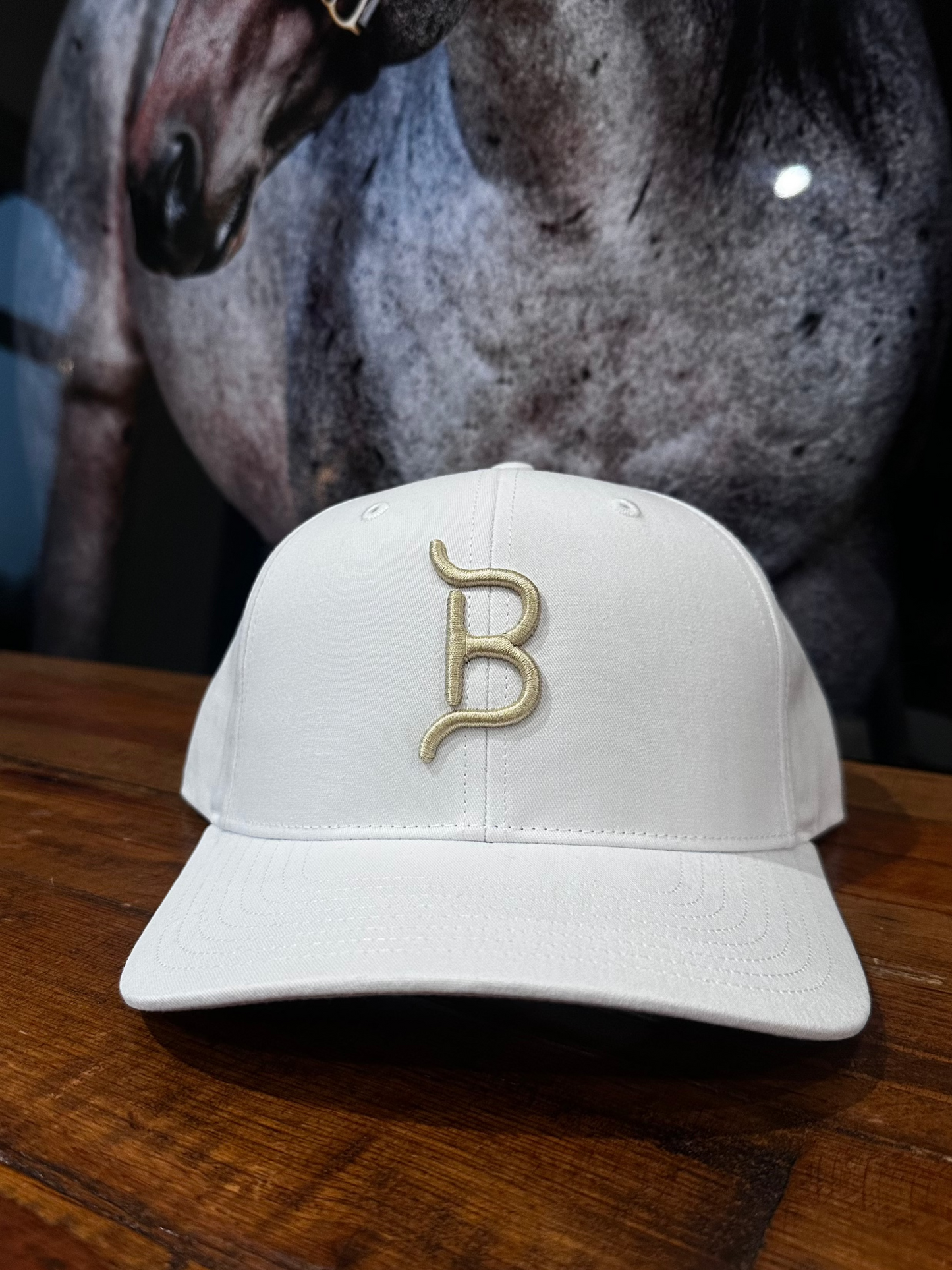 FLYING B BRAND HAT