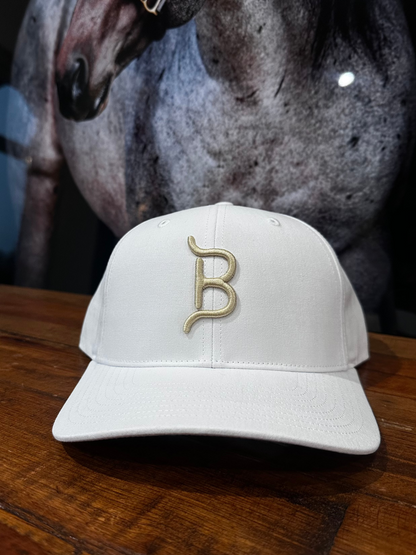 FLYING B BRAND HAT-SOLID BACK