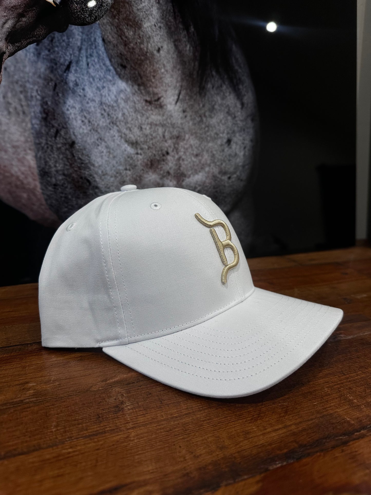 FLYING B BRAND HAT