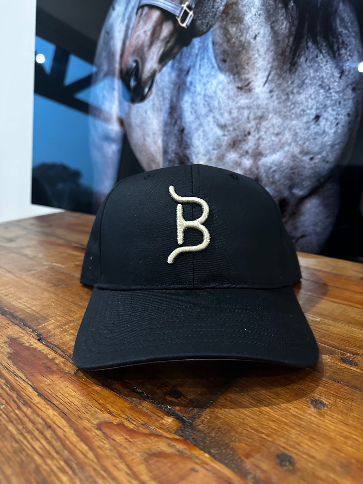 FLYING B BRAND HAT